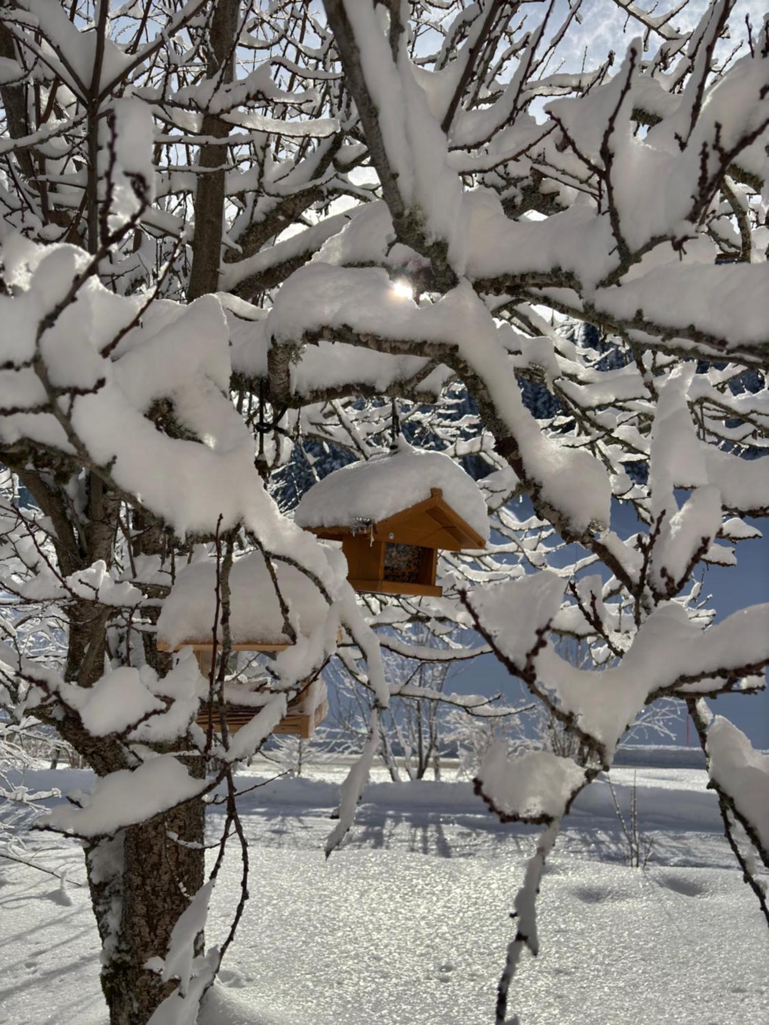 Relais De La Baume Apartment เลอ ลอคเคลอ ภายนอก รูปภาพ