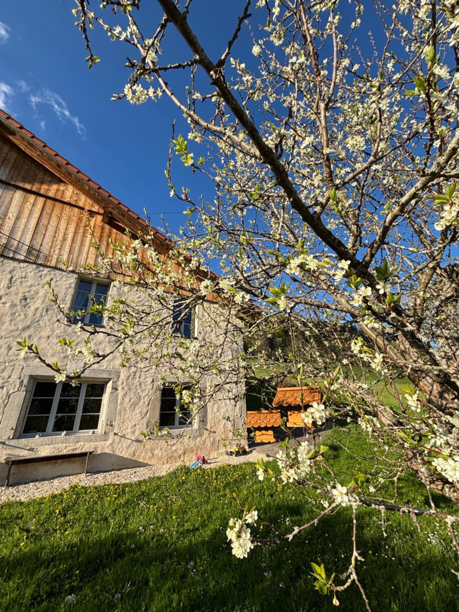 Relais De La Baume Apartment เลอ ลอคเคลอ ภายนอก รูปภาพ